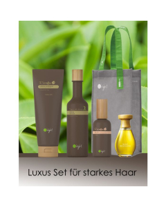 Luxus Set für starkes Haar